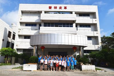 十字紋牛仔布紋高固羊巴PU 環(huán)保高檔鞋材箱包面料的理想選擇